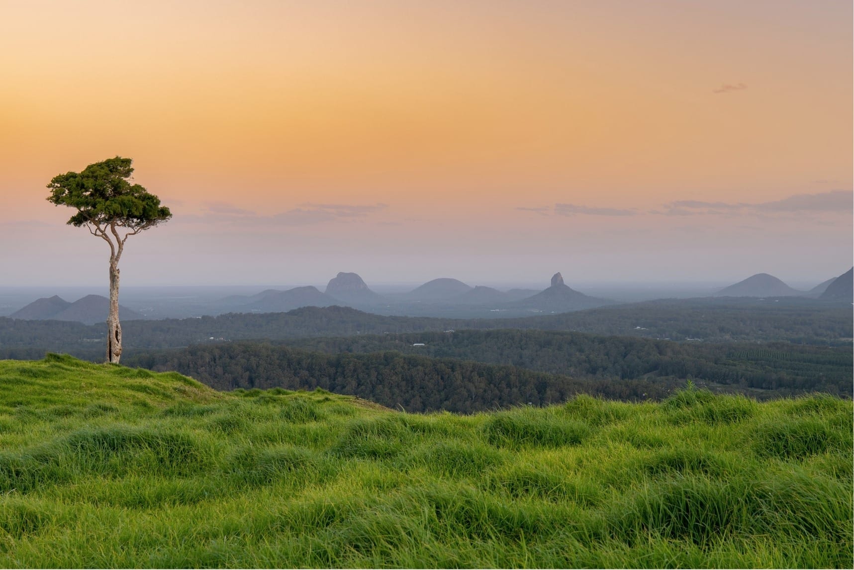 Maleny