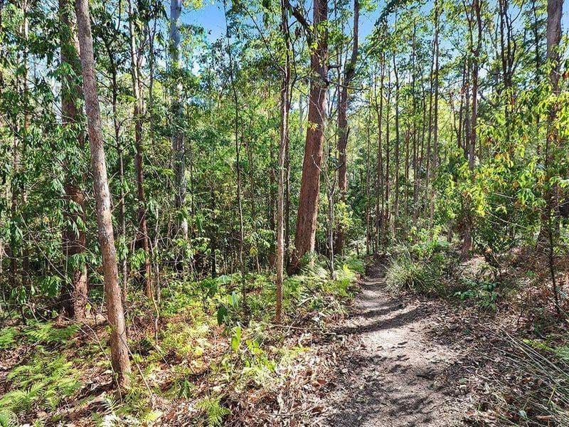 40 ACRES IN BUDERIM'S HEART ON 2 TITLES - A VERY RARE AND UNIQUE LAND HOLDING
