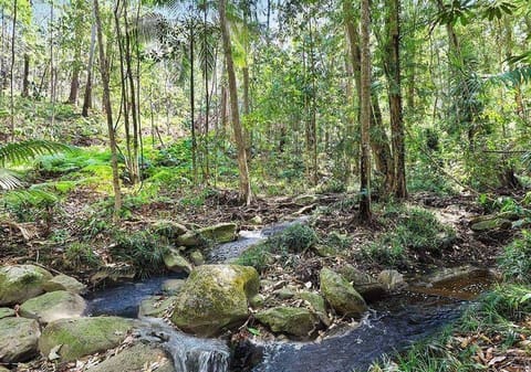 40 ACRES IN BUDERIM'S HEART ON 2 TITLES - A VERY RARE AND UNIQUE LAND HOLDING