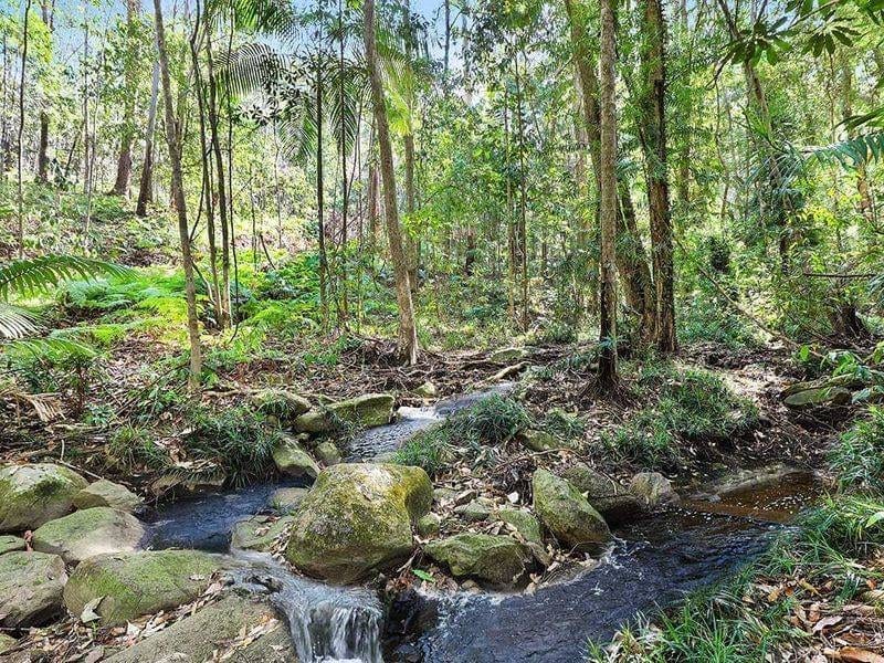 40 ACRES IN BUDERIM'S HEART ON 2 TITLES - A VERY RARE AND UNIQUE LAND HOLDING