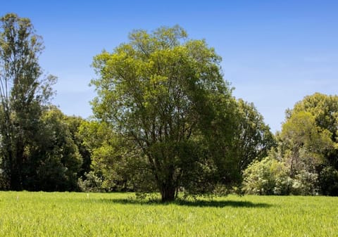 DISCOVERY: ONLY 4 LOTS REMAIN WITH COMPLETION DECEMBER 2019