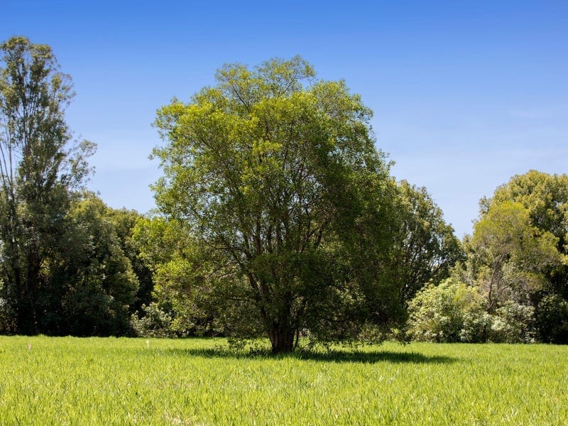 DISCOVERY: ONLY 4 LOTS REMAIN WITH COMPLETION DECEMBER 2019