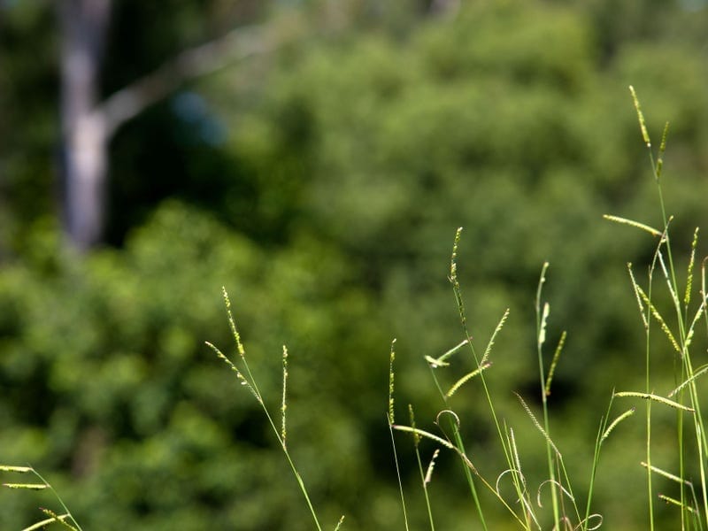 DISCOVERY: ONLY 4 LOTS REMAIN WITH COMPLETION DECEMBER 2019