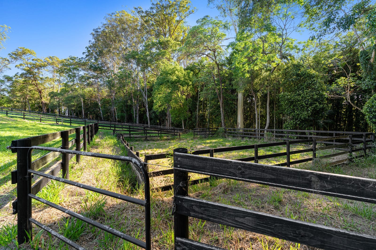 Family-Friendly Queenslander with Horse Yards & Room to Roam