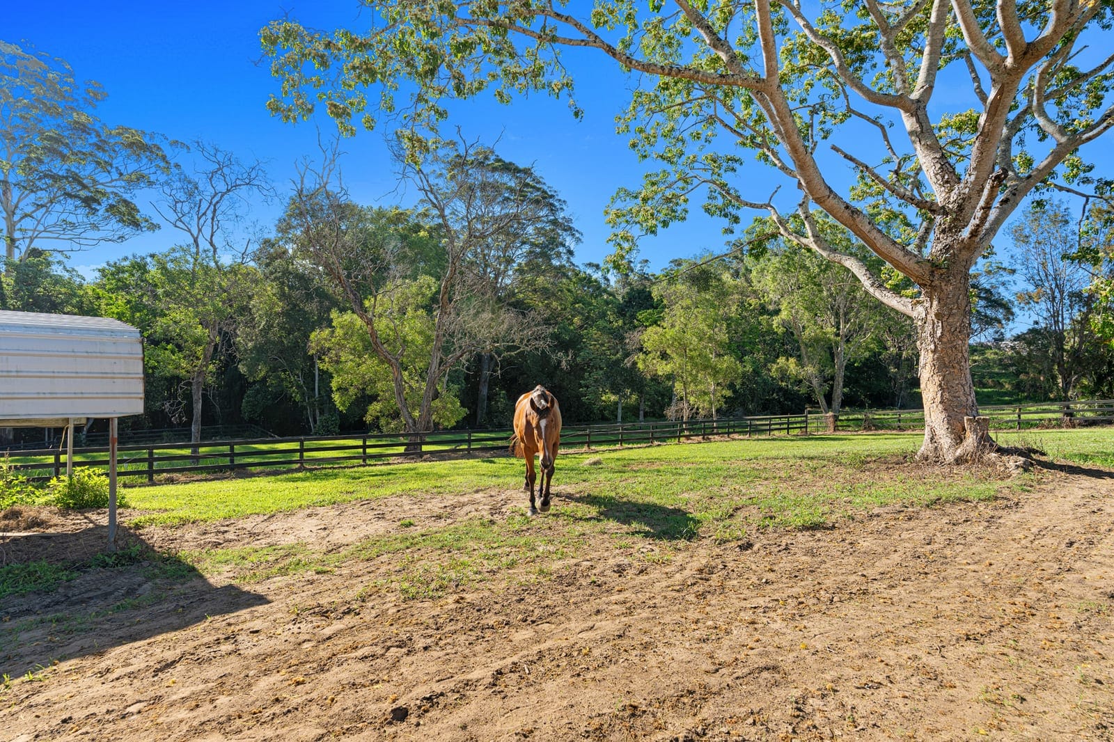 Family-Friendly Queenslander with Horse Yards & Room to Roam