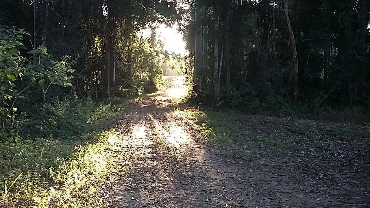 Landmark Acreage Parcel – 63.7 Acres