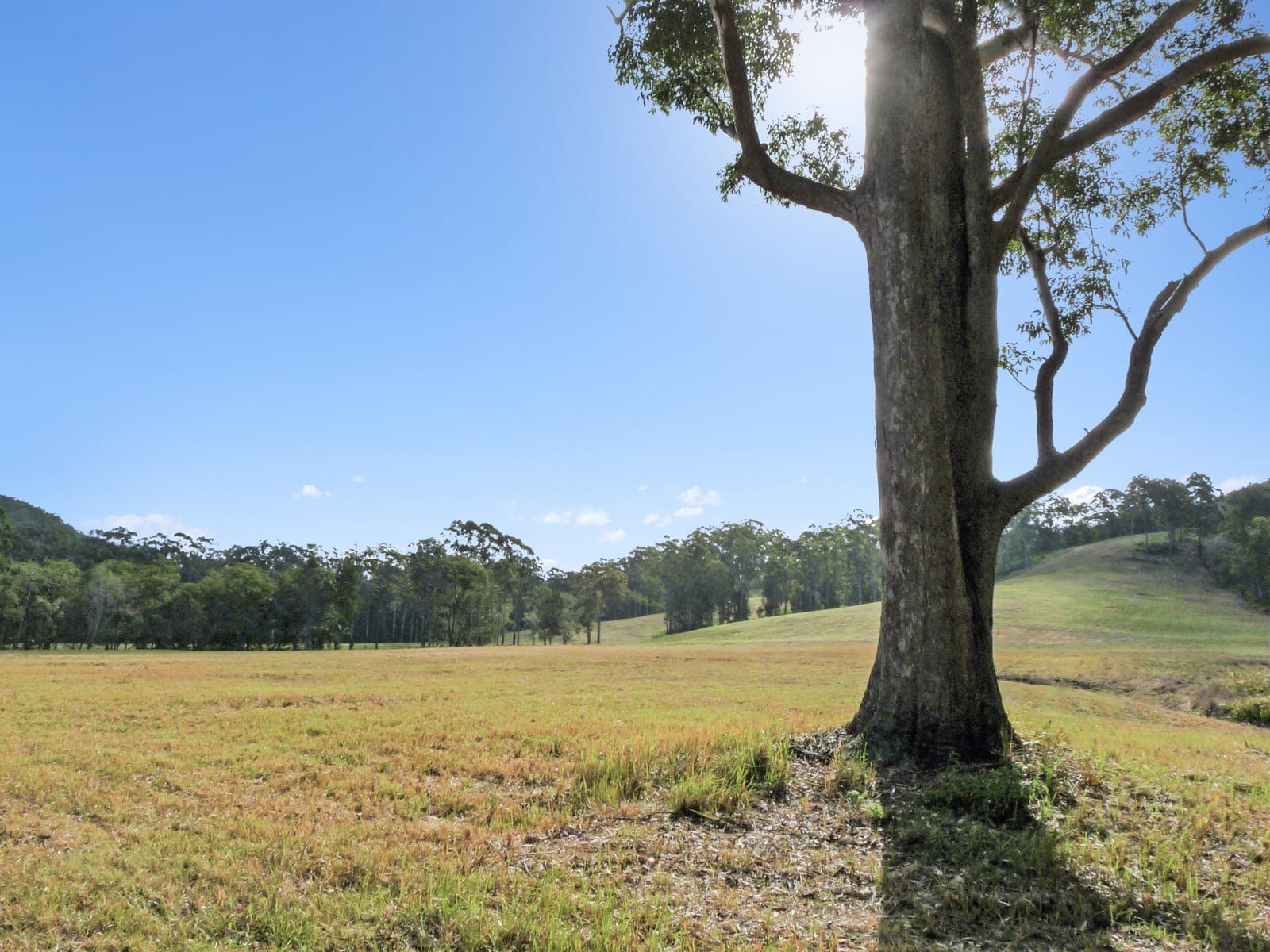 Landmark Acreage Parcel – 63.7 Acres