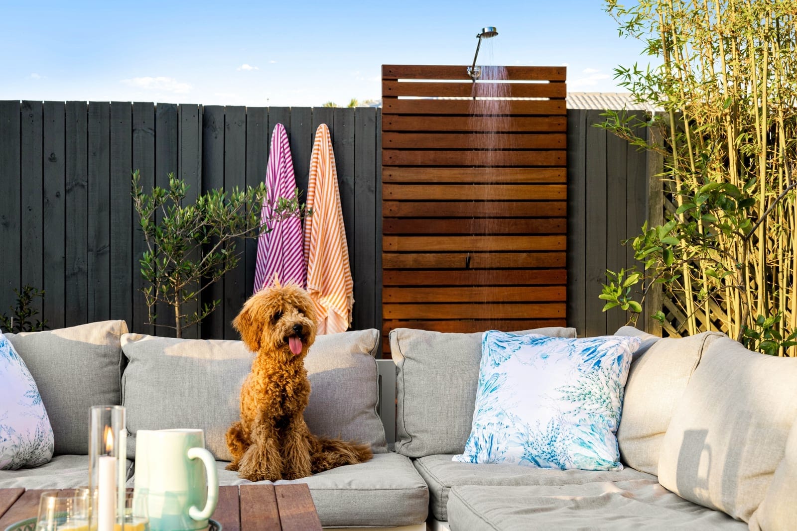 Waterfront Entertainer, Just in Time for Summer!