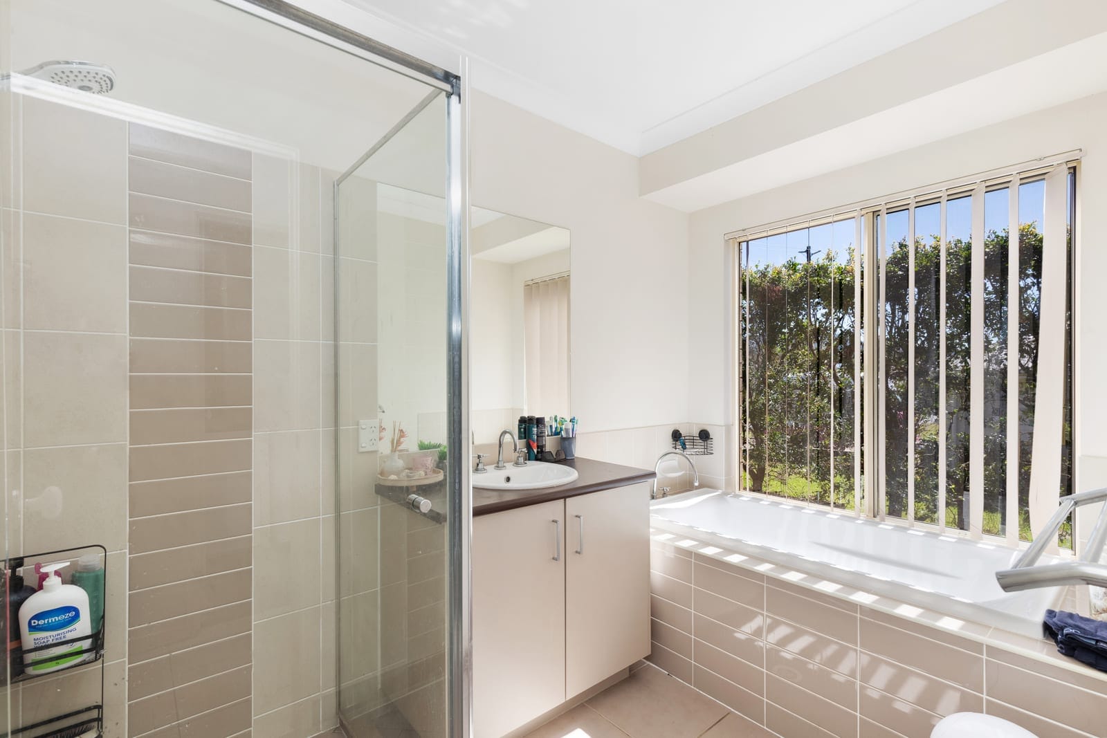 Mountain View Entertainer: Options Galore!