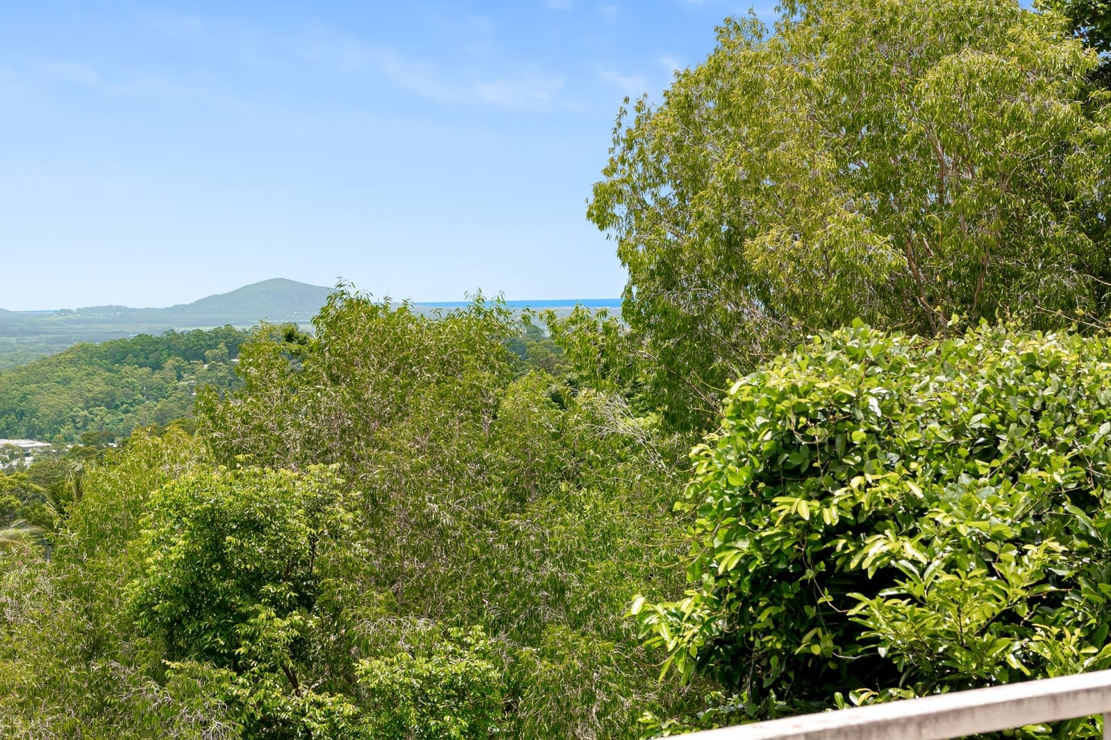 Renovate or Detonate: Direct North-Facing 2,420sqm Block