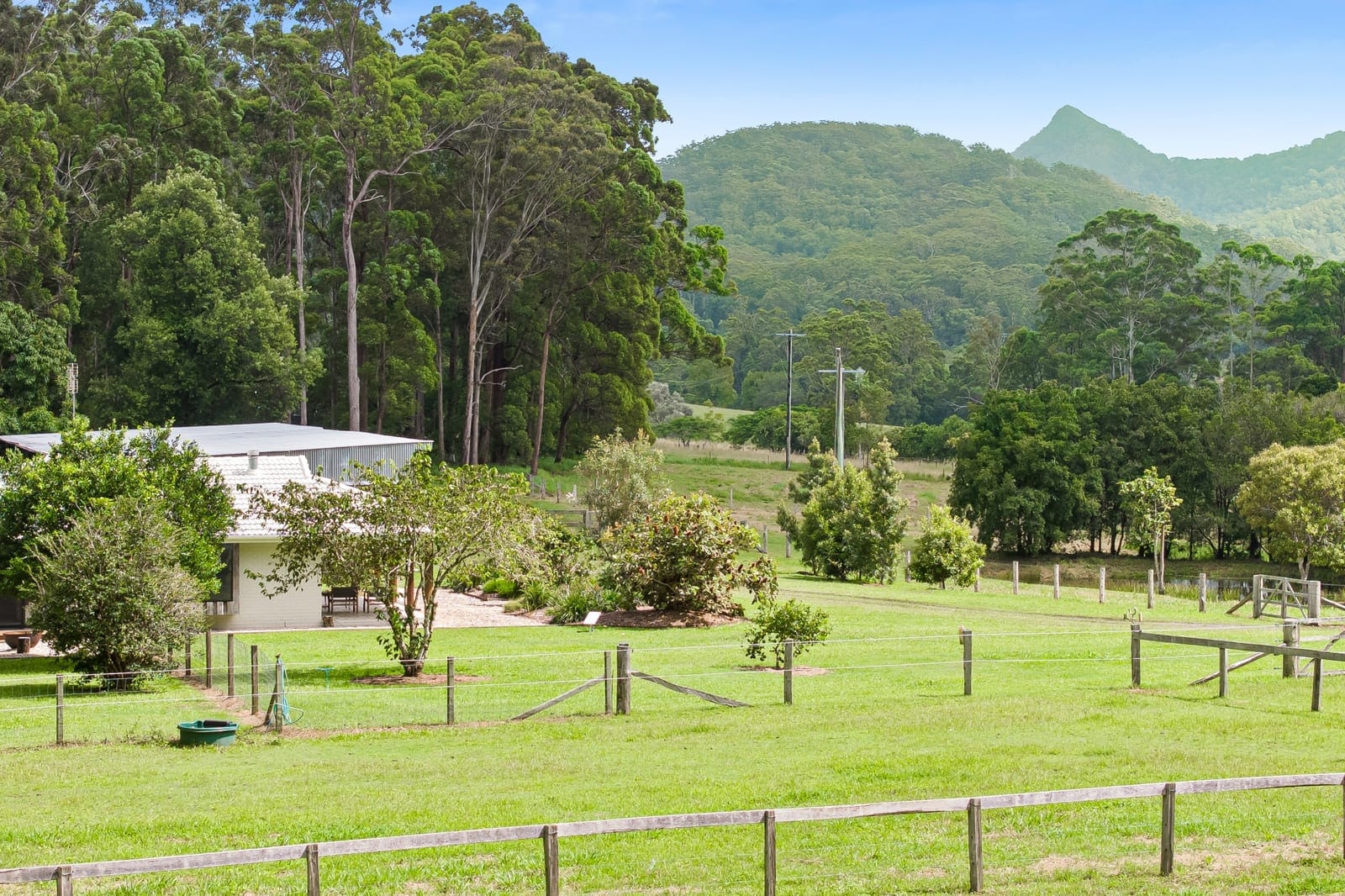 STUNNING SUNSHINE COAST HORSE & CATTLE ACREAGE