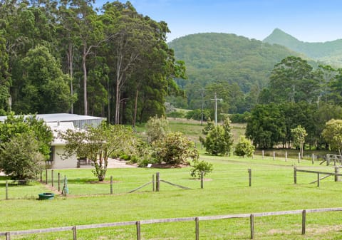 STUNNING SUNSHINE COAST HORSE & CATTLE ACREAGE