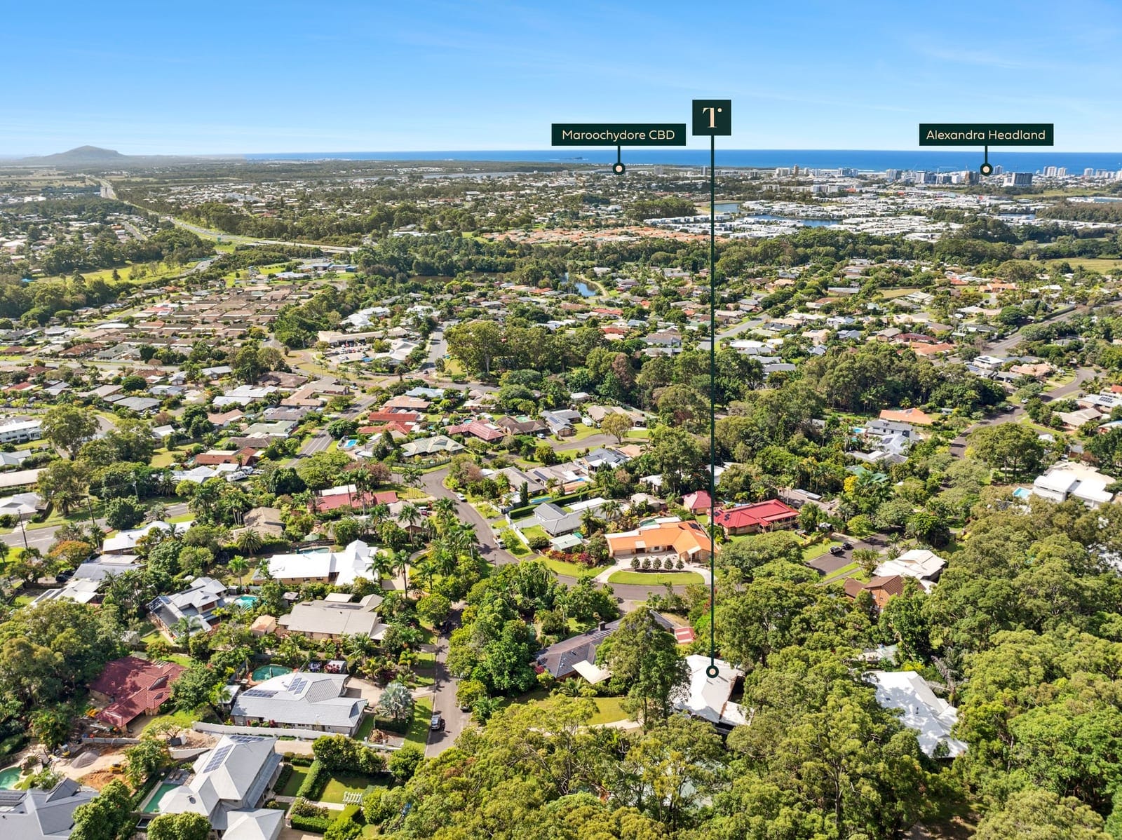 SOLD by Ollie Lehmann & Angelina Sweeney