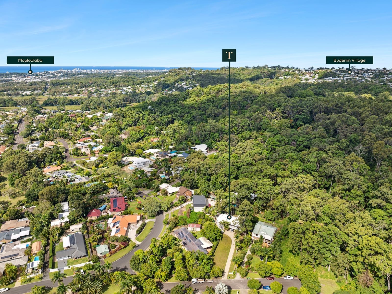 SOLD by Ollie Lehmann & Angelina Sweeney