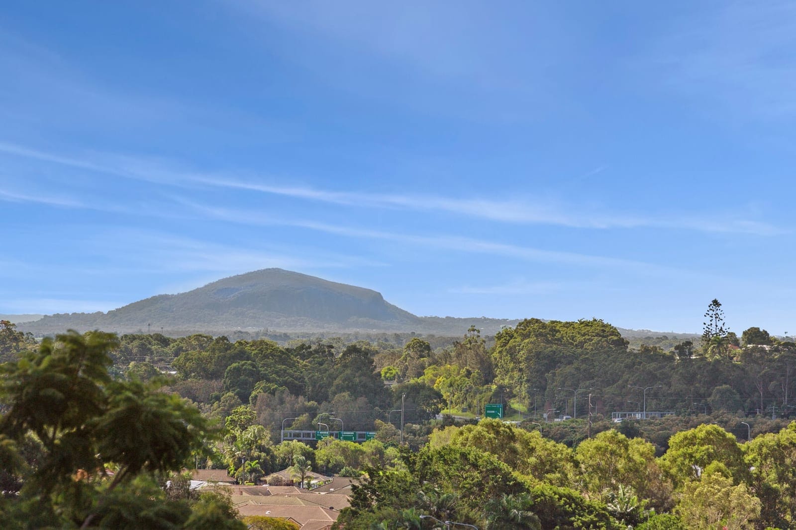 SOLD by Ollie Lehmann & Angelina Sweeney