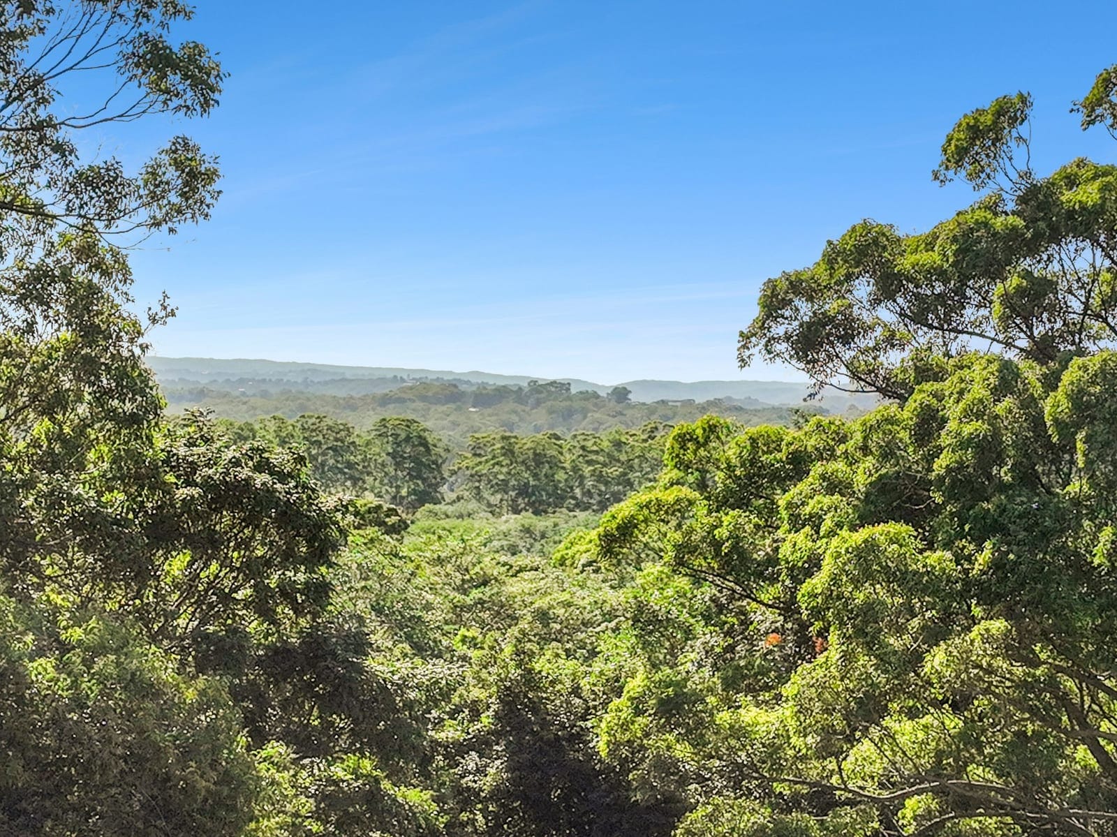 Registered Land Ready to Build - Only One Block Remaining