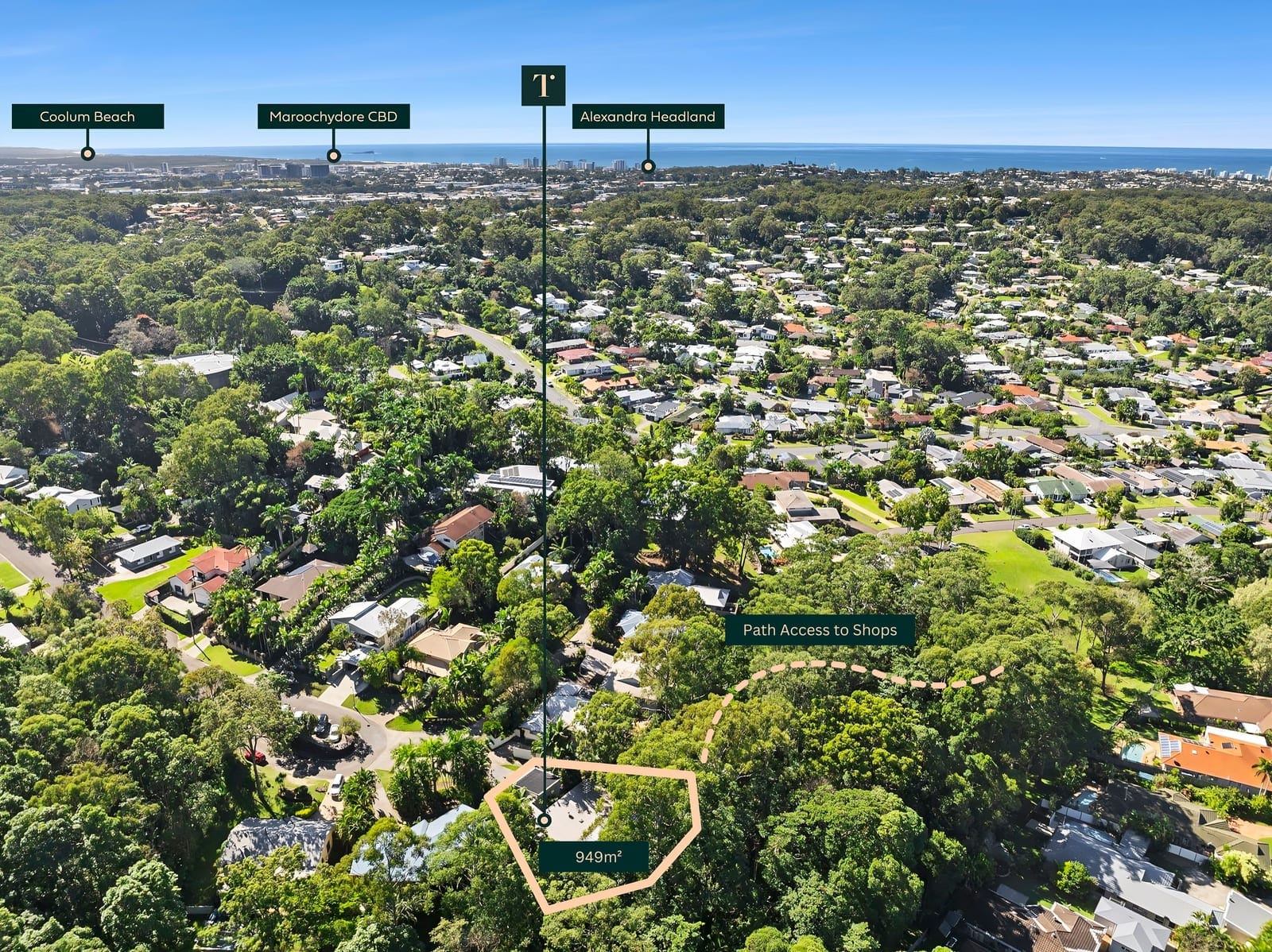 SOLD by Ollie Lehmann & Angelina Sweeney