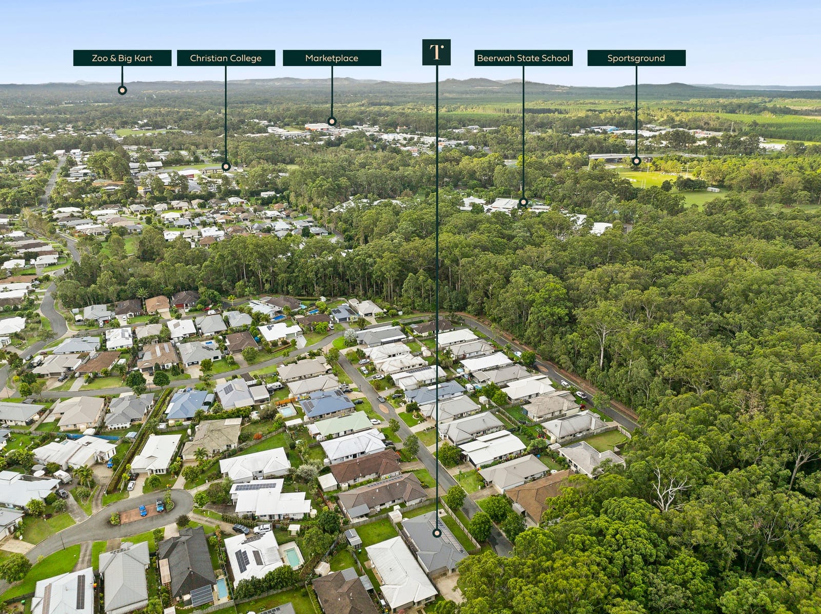 SOLD by Angelina Sweeney & Ollie Lehmann