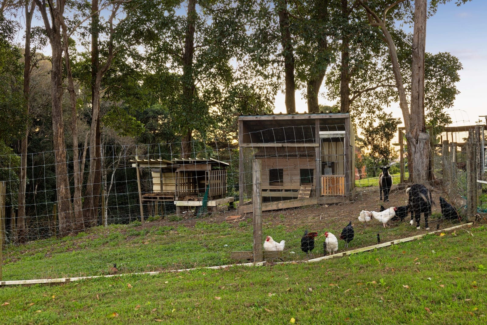 Exceptional Acreage Offering in Tightly Held Pocket