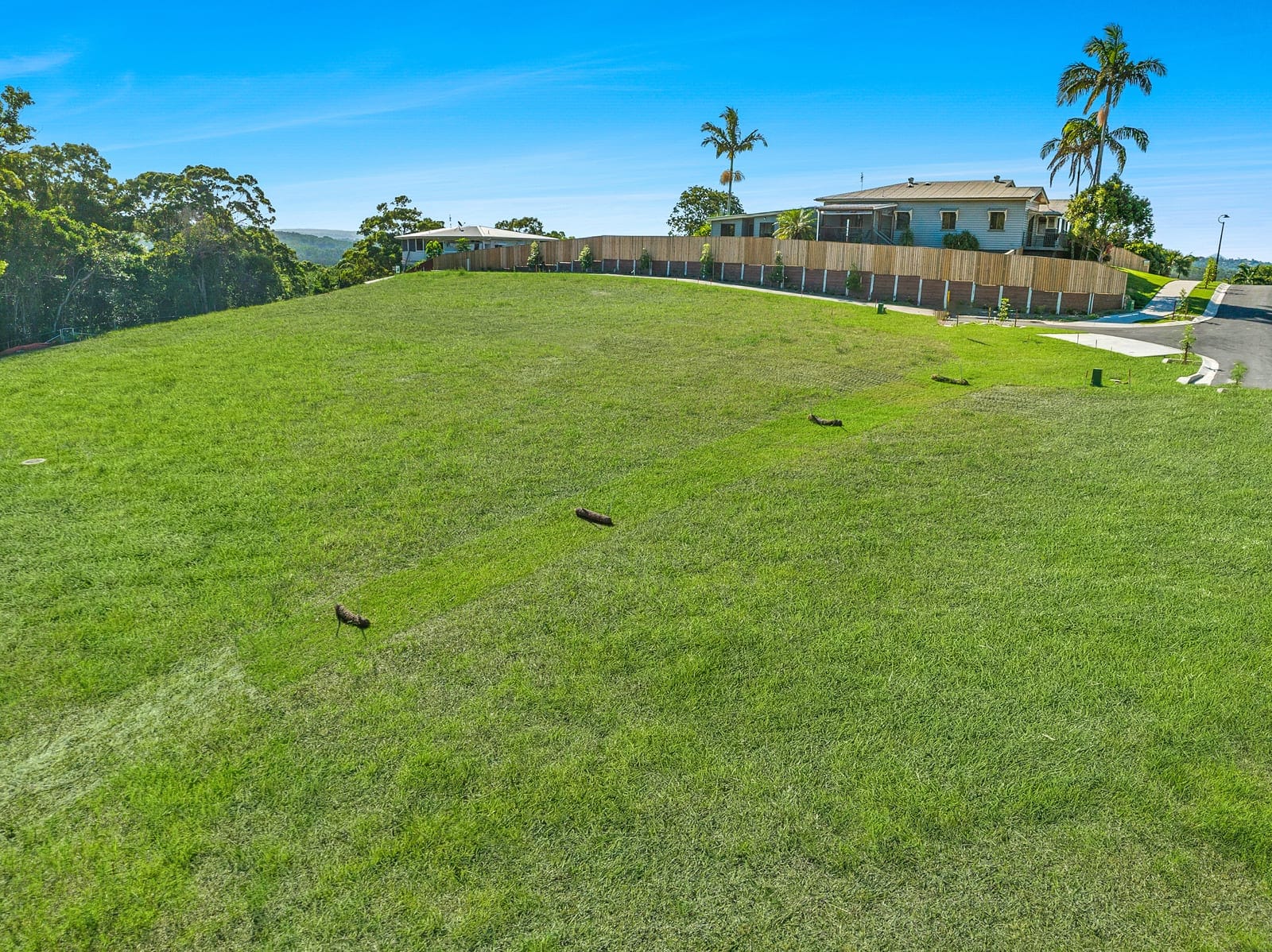'The Hilltop'