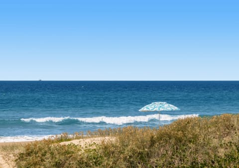Vacant 700m2: Absolute Beachfront