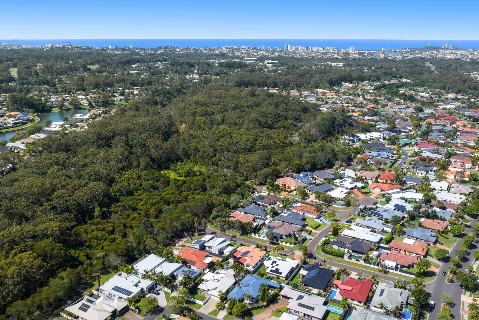 SOLD by Angelina Sweeney & Ollie Lehmann