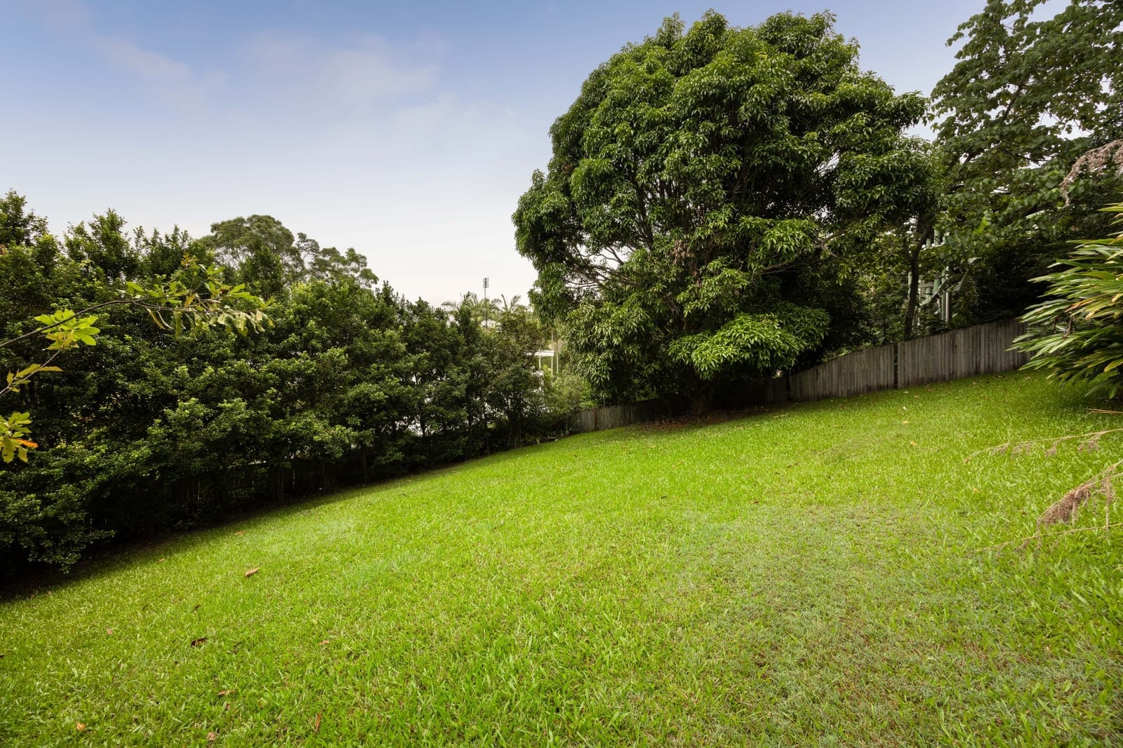 Sold by Ollie Lehmann & Angelina Sweeney