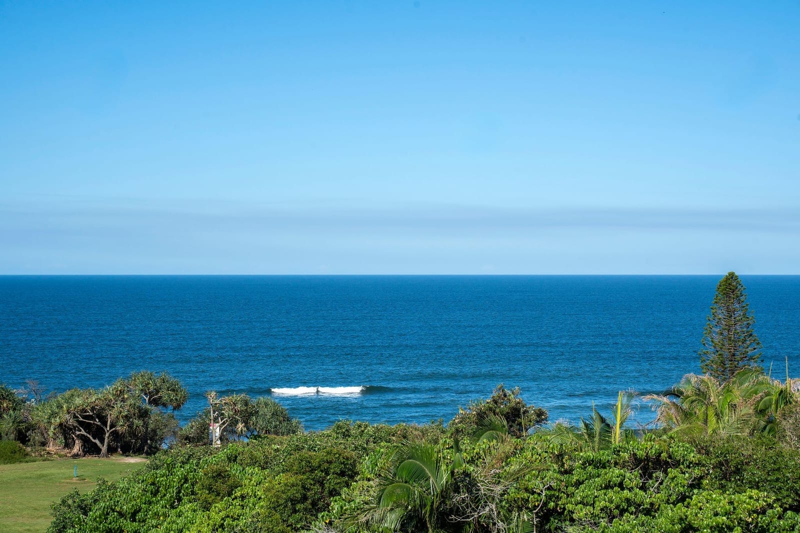 Hidden Gem with Views