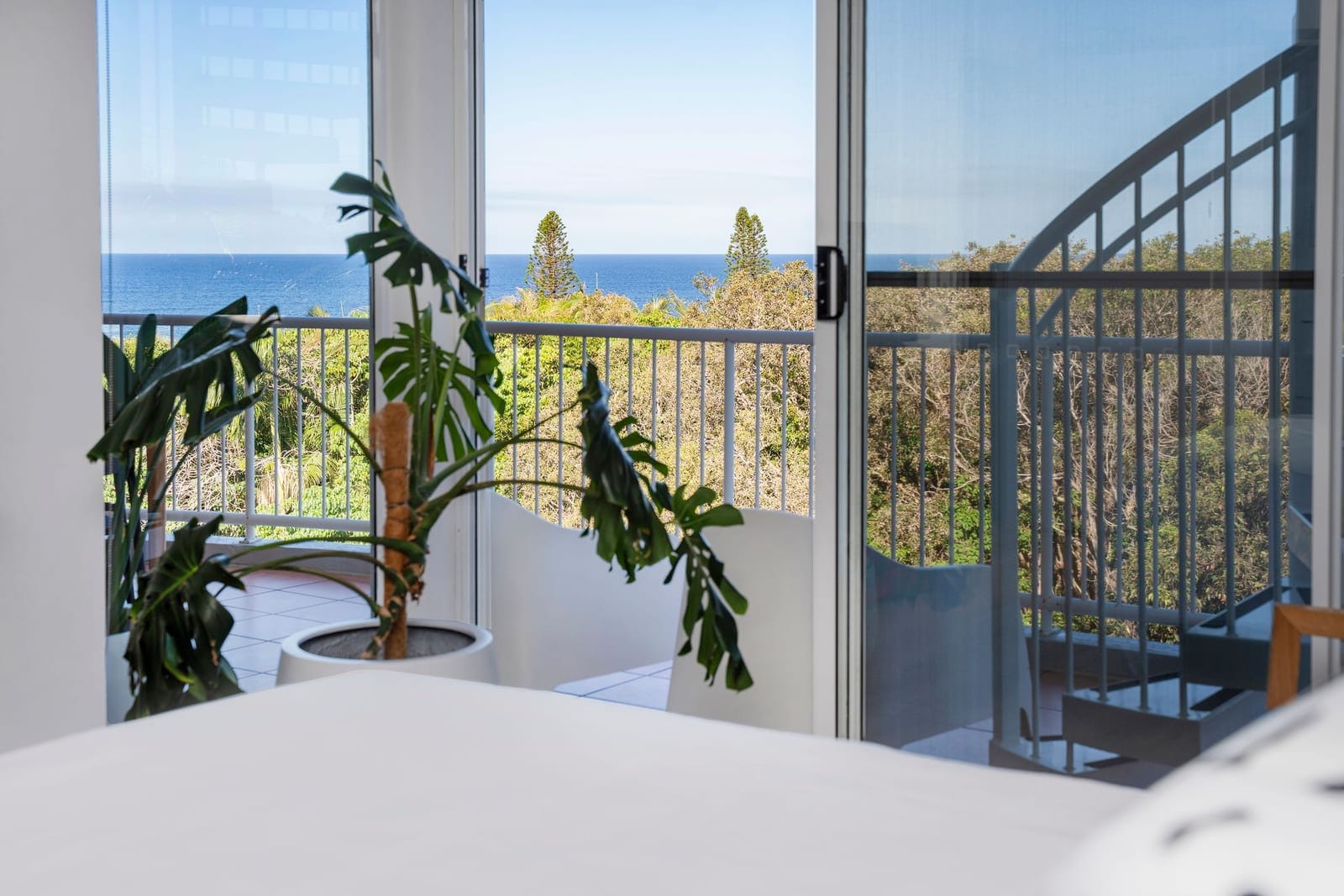Hidden Gem with Views