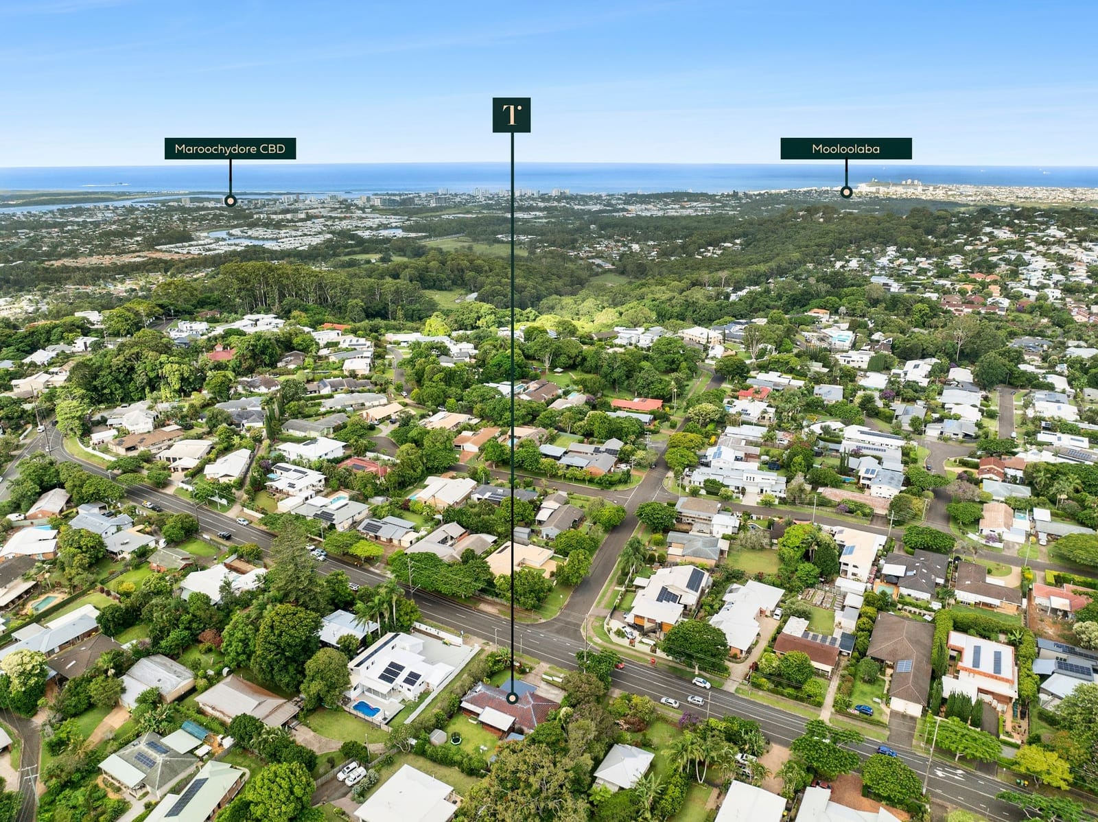 SOLD by Ollie Lehmann