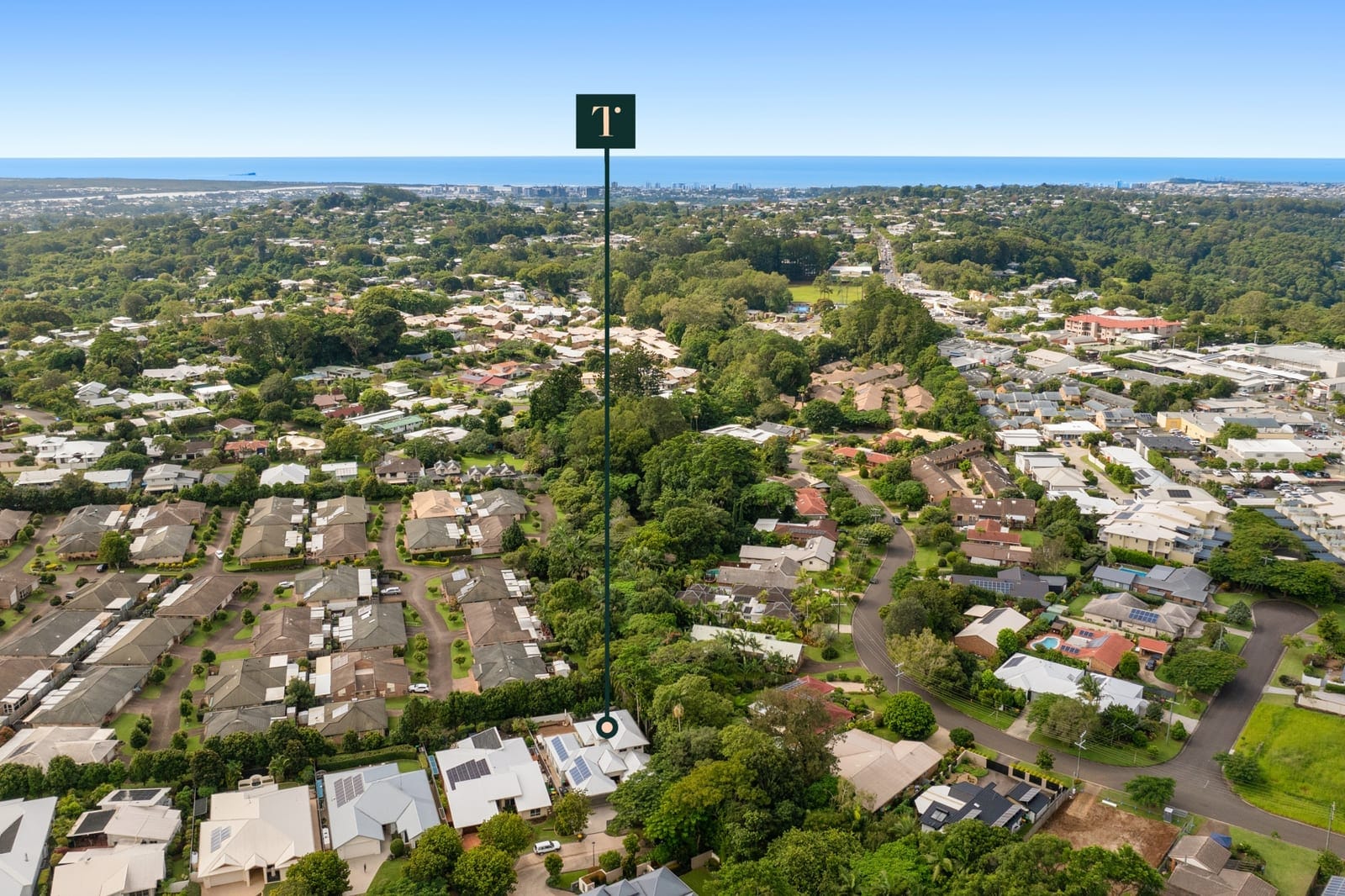 SOLD BY OLLIE LEHMANN