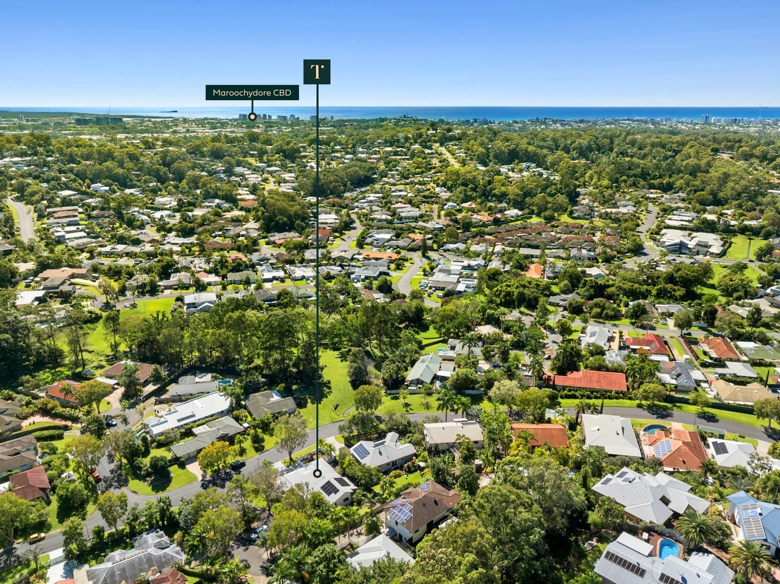Sold by Ollie Lehmann