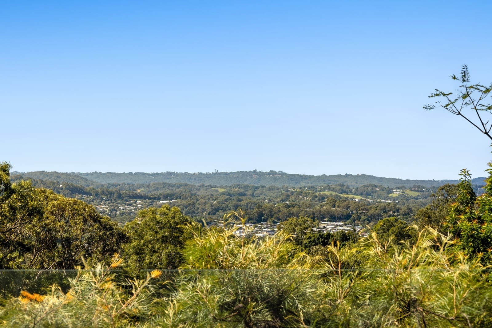 Luxury Acreage With Pool & Dual Living