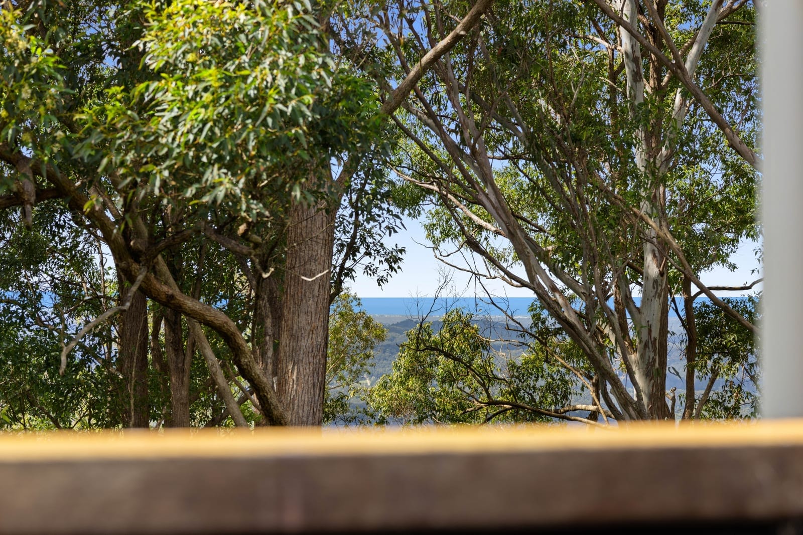 Hinterland Haven Nestled Amongst Treetops!