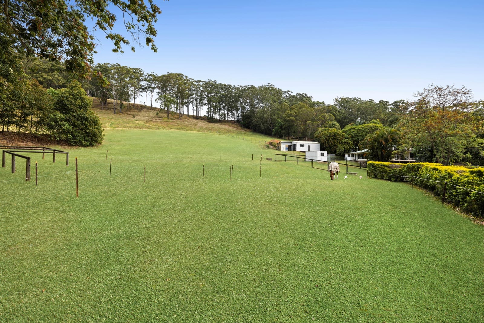 Sold by Corey Payne