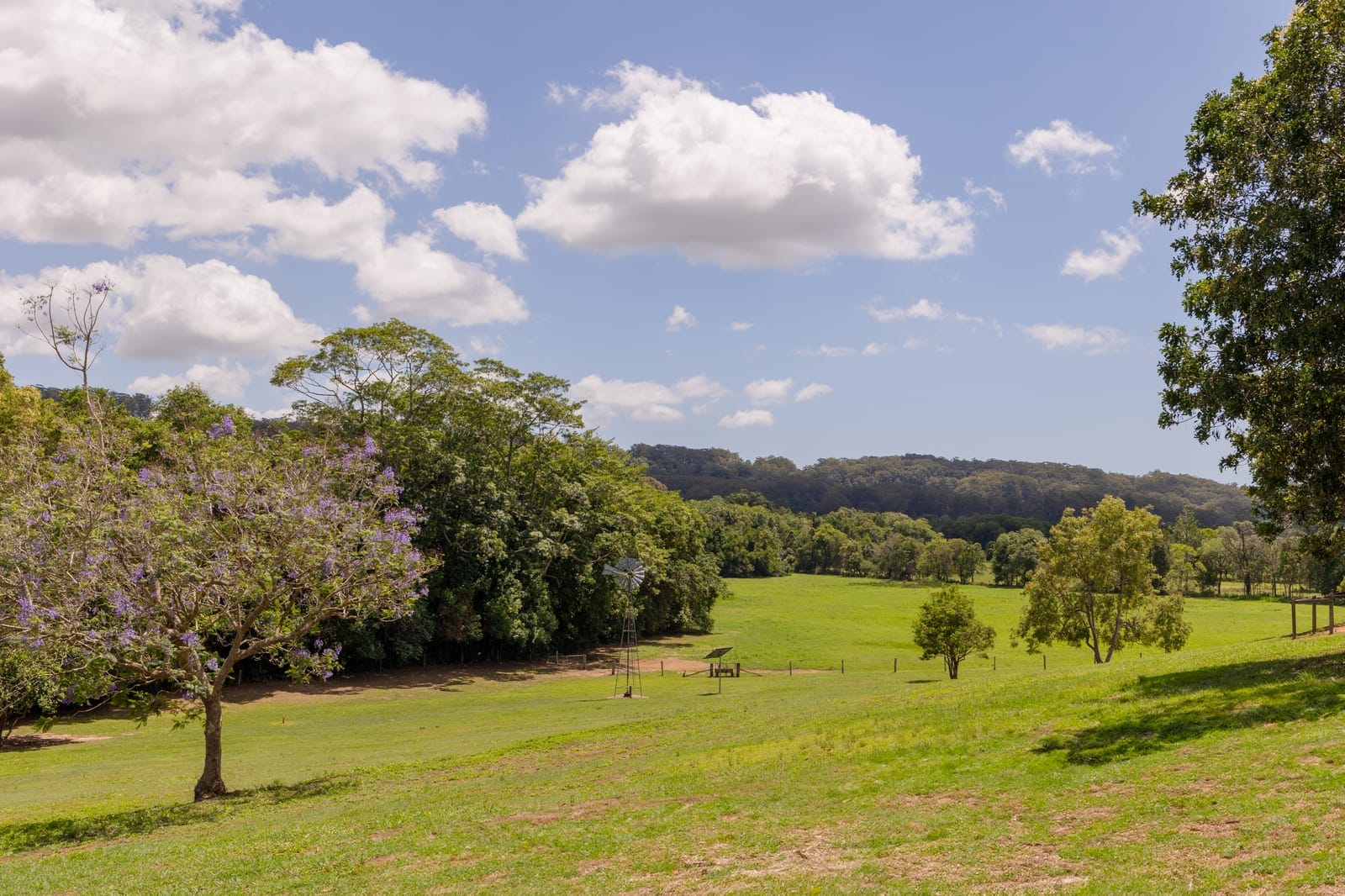 North Facing Acreage Entertainer: Fully Useable 32 Acres