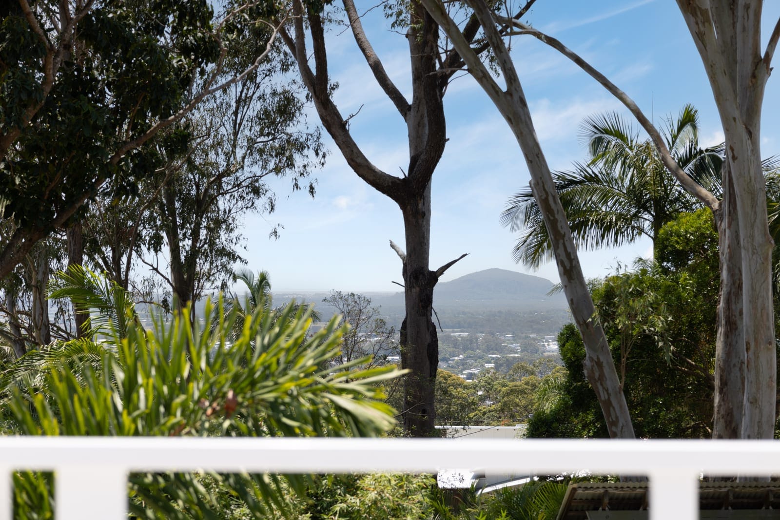 Coastal Mountain Top Family Entertainer