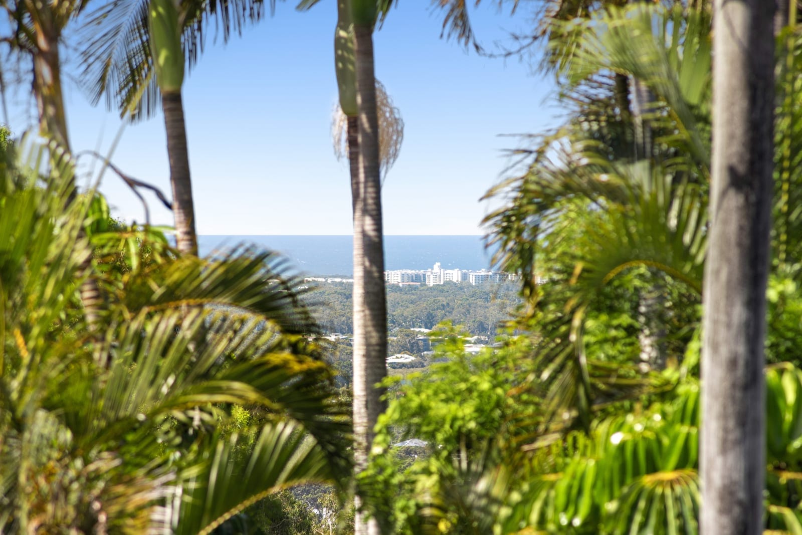 Elevated Buderim Living with Space, Privacy & Resort-Style Pool