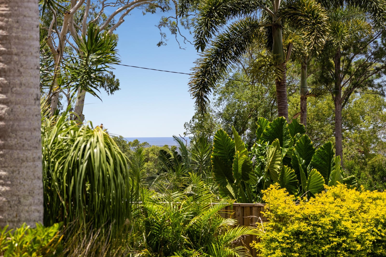Private Family Sanctuary with Pool on a Generous Buderim Block