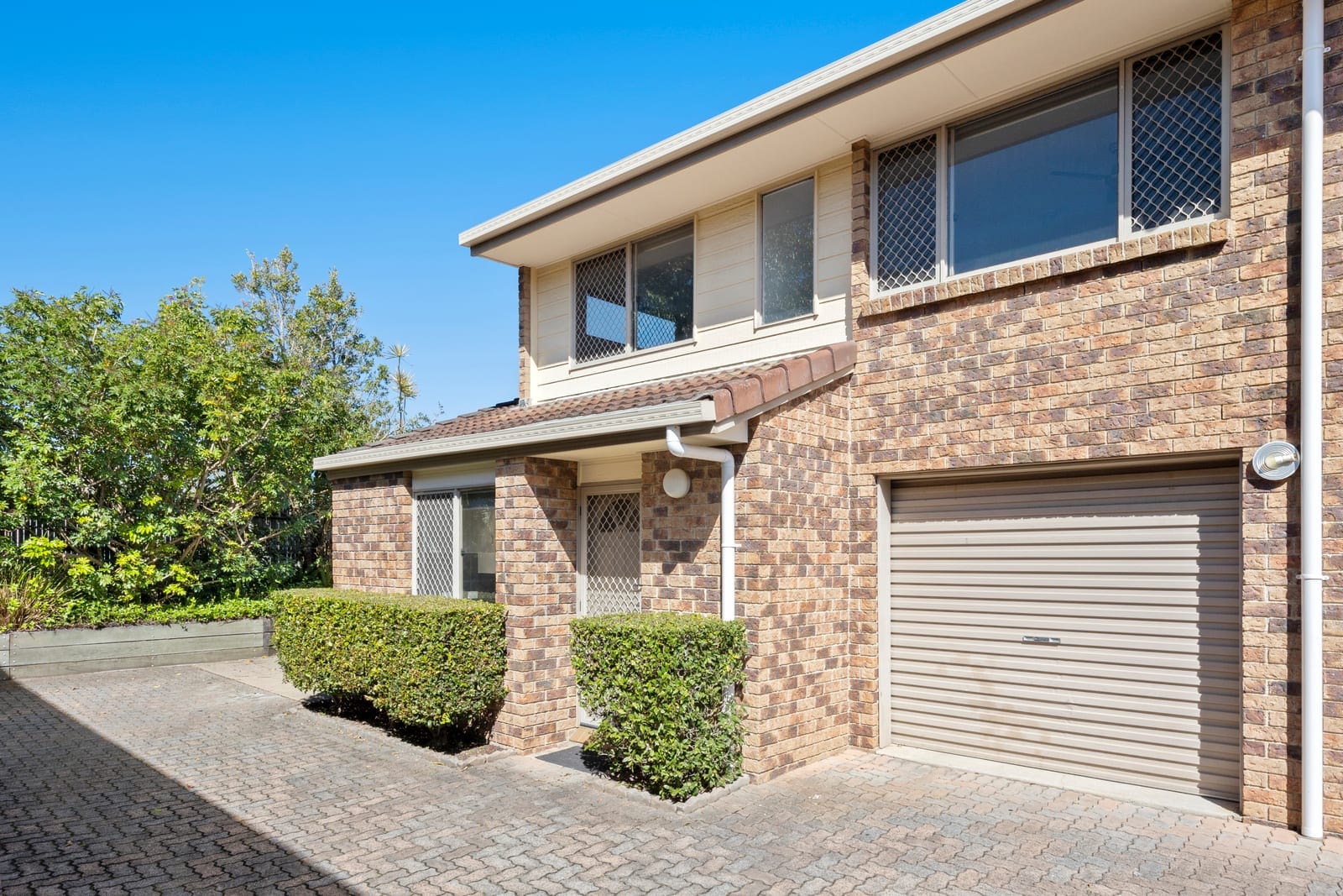 Sold By Angelina Sweeney & Ollie Lehmann