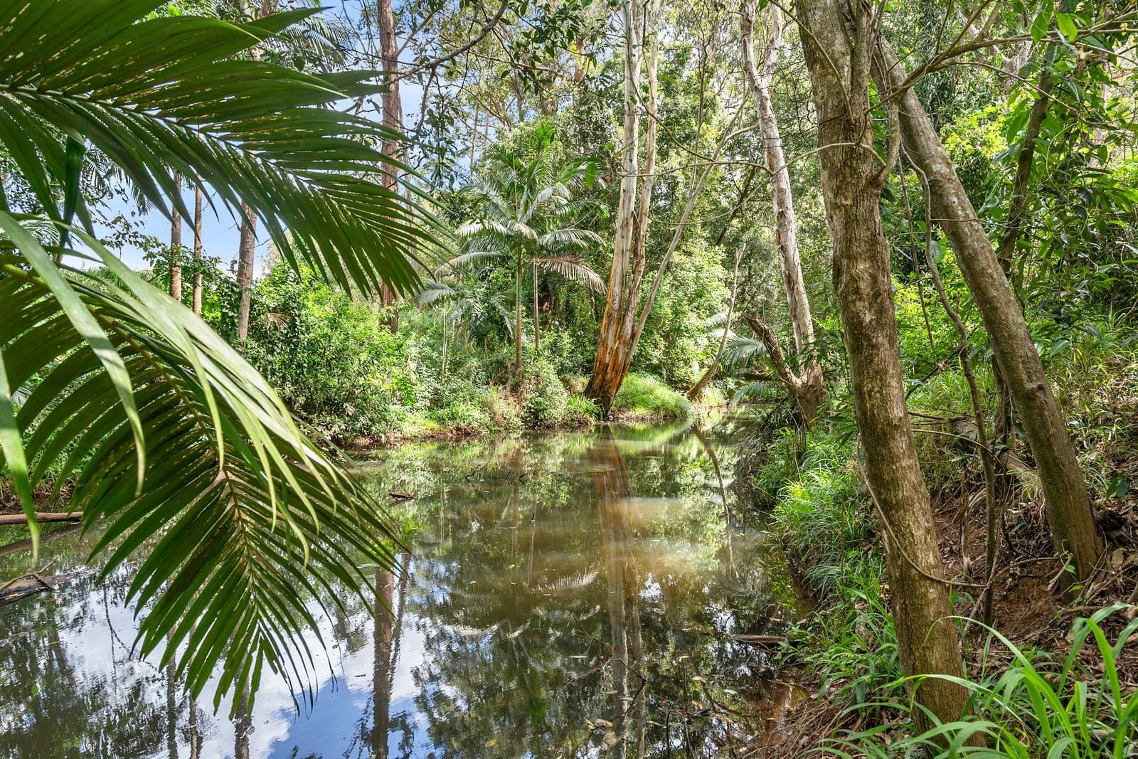 20 Acres of Scenic Serenity in the Glasshouse Mountains