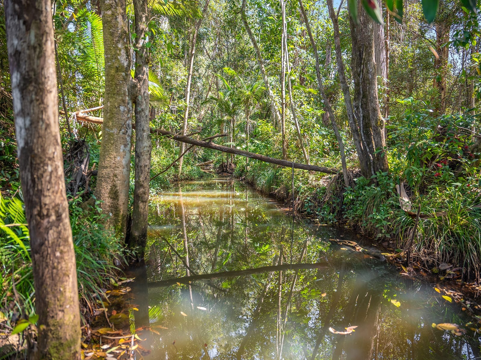 20 Acres of Scenic Serenity in the Glasshouse Mountains