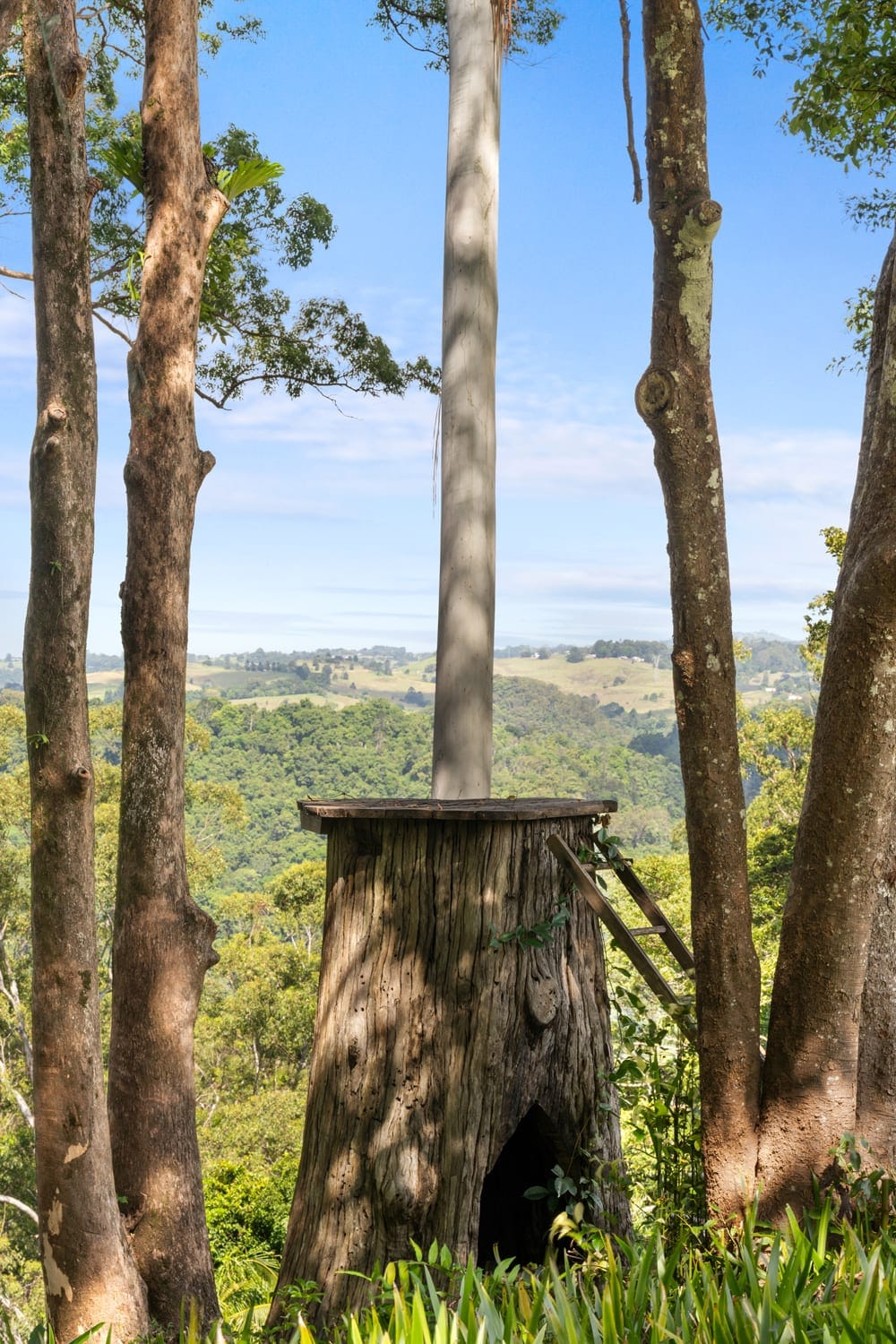 A Private Hinterland Sanctuary with Endless Potential