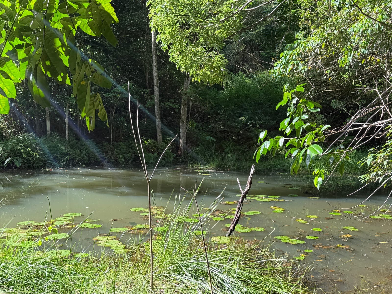 A Private Hinterland Sanctuary with Endless Potential