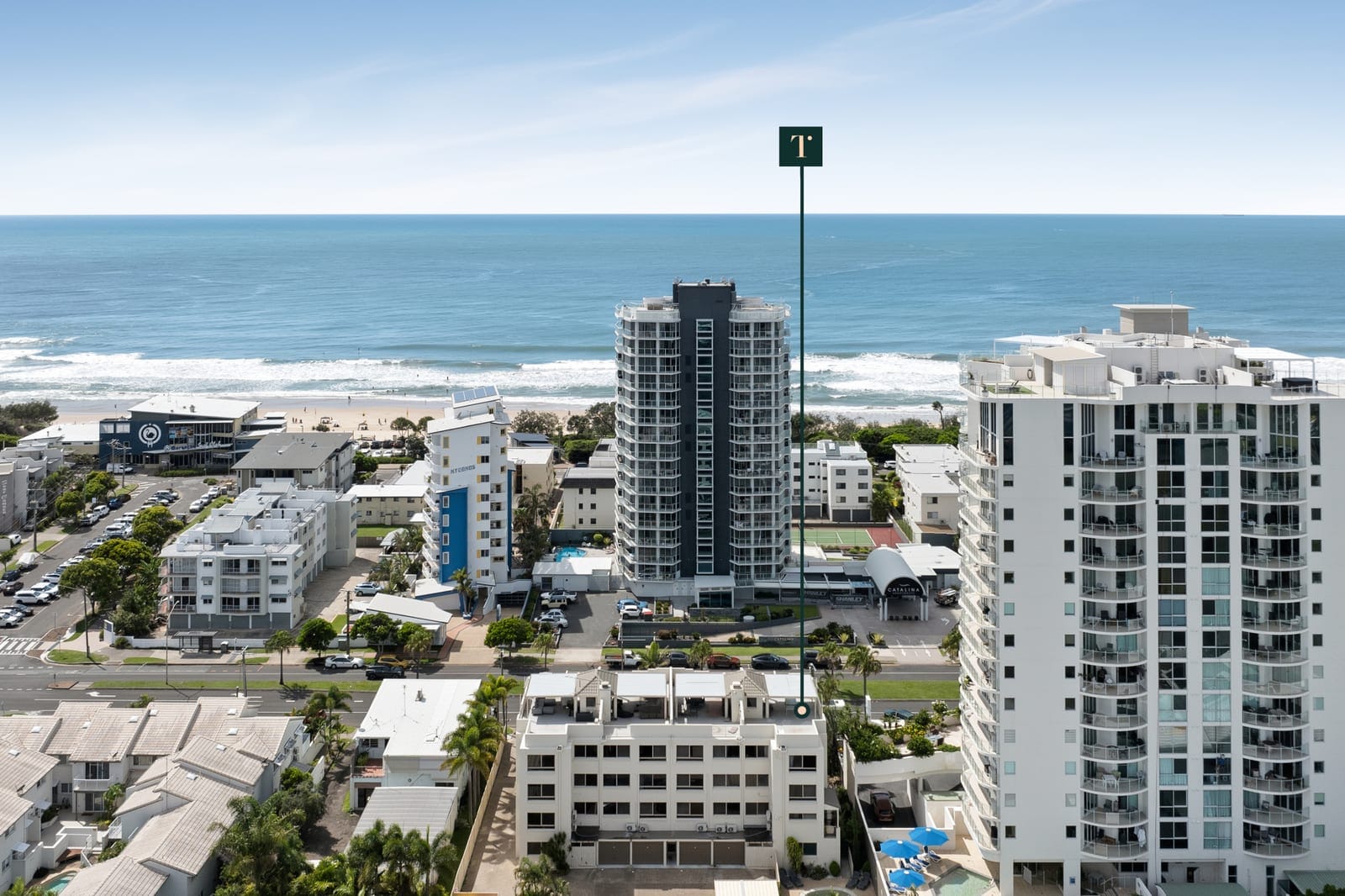 Sold By: Angelina Sweeney - Cotton Tree