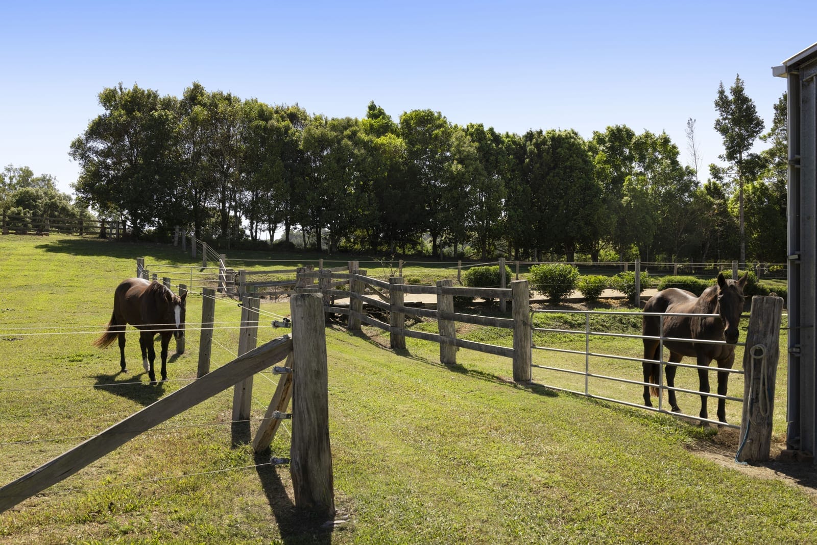 A Private Equestrian Estate With Mount Pinbarren As Your Horizon
