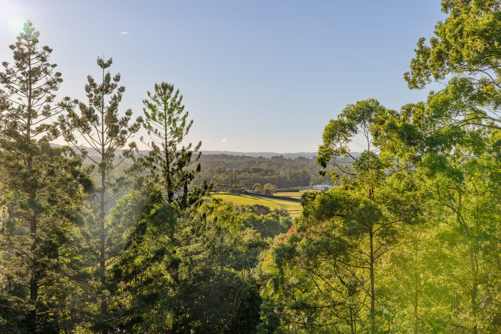 Prestige Hinterland Living: Architectural Excellence