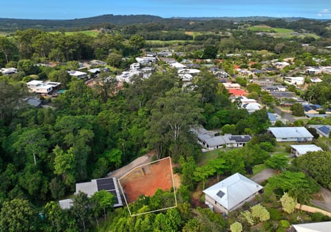 Your Build-Ready Rainforest Sanctuary