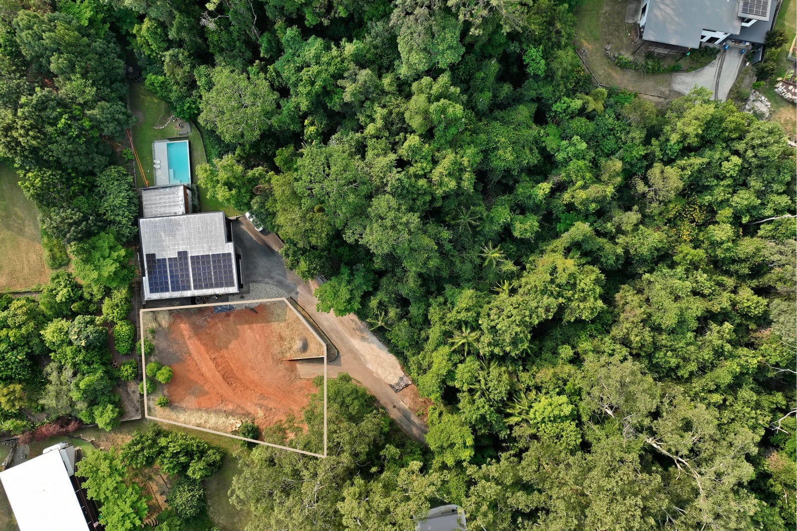 Your Build-Ready Rainforest Sanctuary