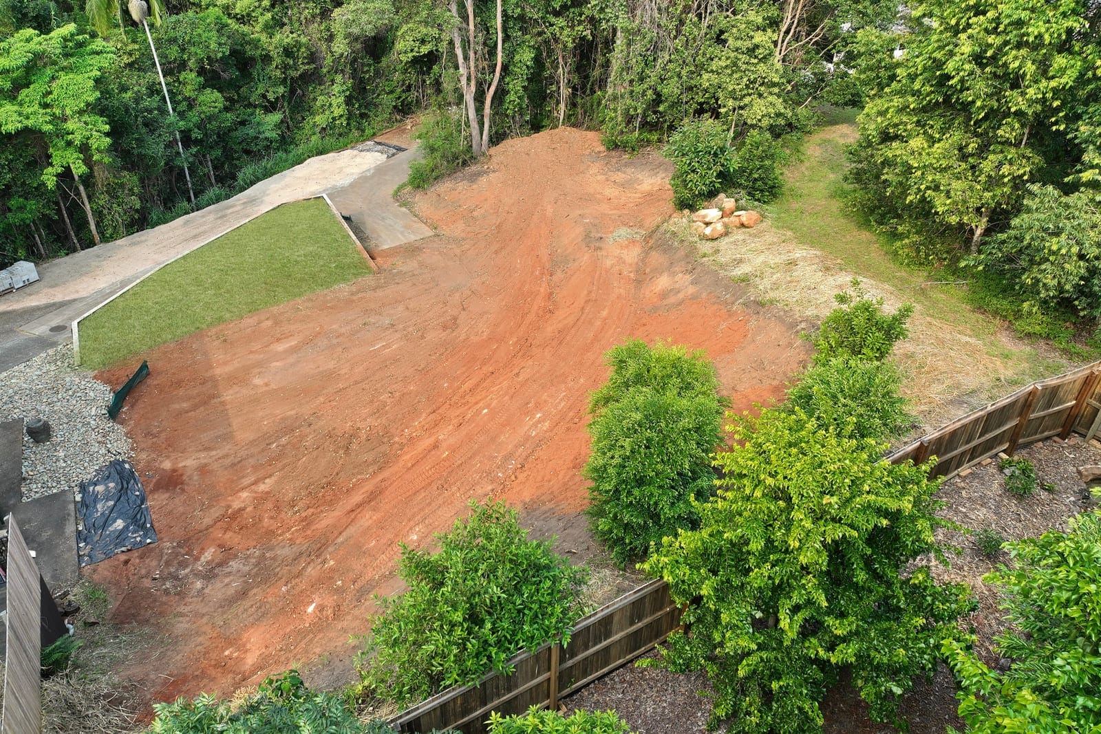 Your Build-Ready Rainforest Sanctuary
